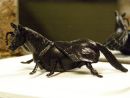 Knight Fly (from Horses for Courses series) 
